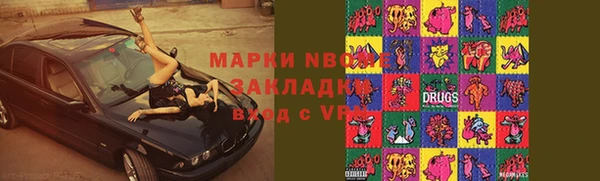 ГАЛЛЮЦИНОГЕННЫЕ ГРИБЫ Богданович