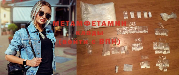 ГАЛЛЮЦИНОГЕННЫЕ ГРИБЫ Богданович