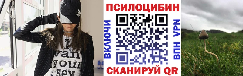 kraken ONION  наркотики  Буй  Псилоцибиновые грибы мицелий 